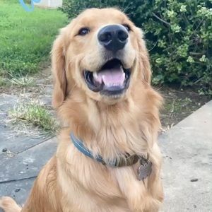 Meet your Posher, Hailey